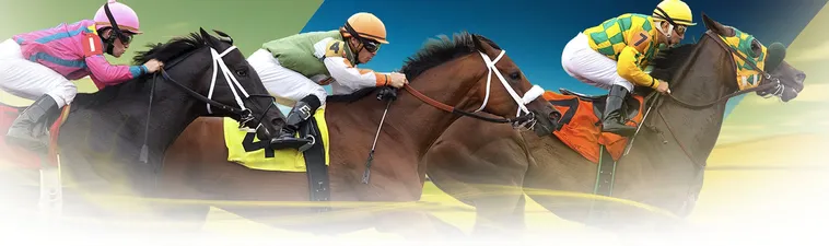 Bí Quyết Chinh Phục Cá Cược Đua Ngựa Gold88 Hiệu Quả